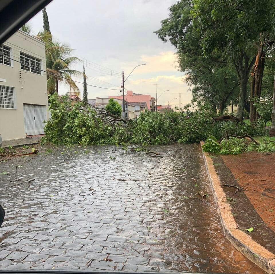 Chuva forte causou estragos hoje a tarde em Ituverava ...